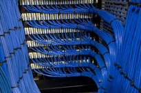 Managed IT Services - Bluefox Cloud Solutions - IT Cost Analysis - Houston, United States
